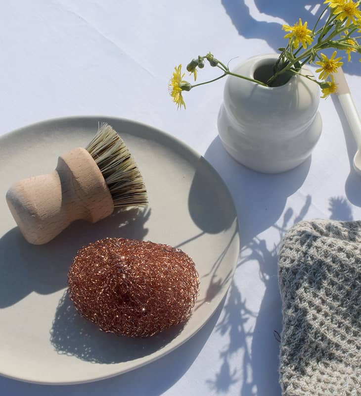 Cepillo Doméstico - Imagen 2