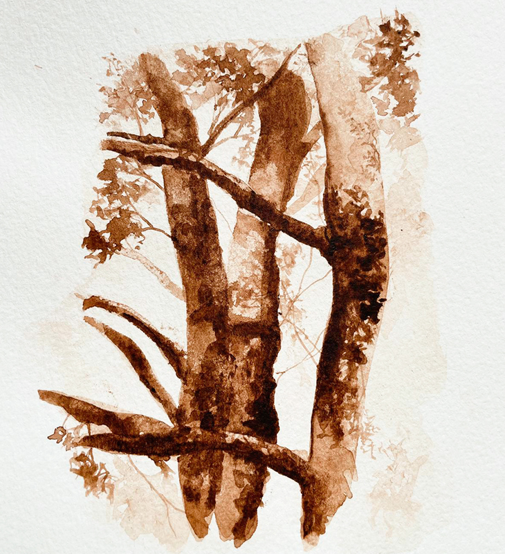 Acuarela & Arteterapia con Carla - Imagen 4