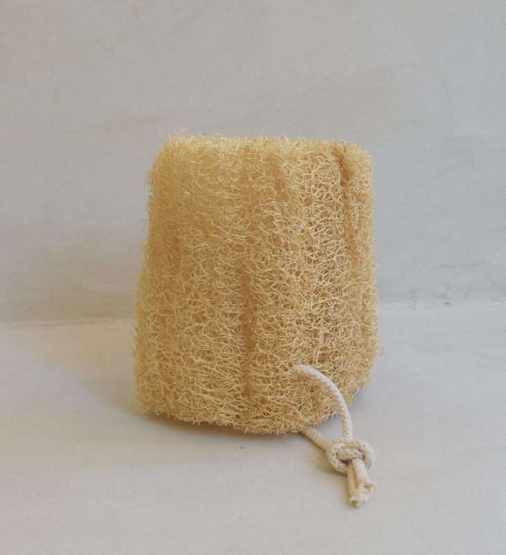 Esponja corporal de luffa